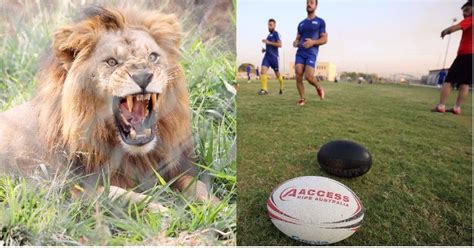 This Rugby Player Suffers The Most Bizarre Injury Ever, Gets Bitten By ...