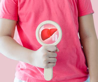 Liver Function Test (LFT)