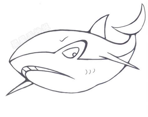 大鲨鱼简笔画