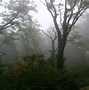 Image result for Fog