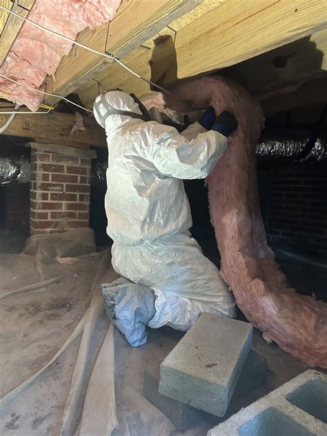 Crawl Space Mold Removal: Protect Your Home from the Ground Up - BioSweepSE