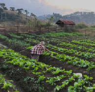 Skip to main content