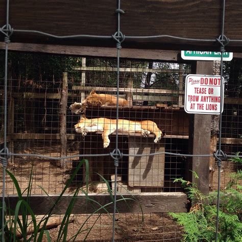 SPRUCE HAVEN ZOO (2026) All You Need to Know BEFORE You Go (with Photos ...