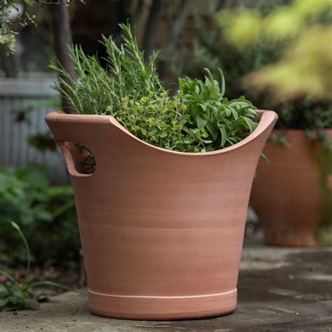 Buy Terracotta milk bucket pot: Delivery by Waitrose Garden