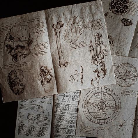 hypaxia enador ~ crescent city | Art academia, Academia aesthetic ...