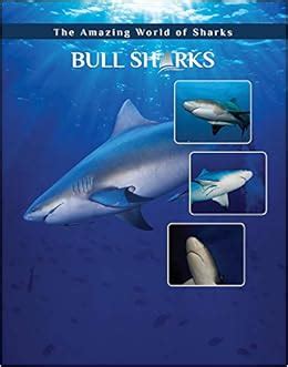 Buy Bull Sharks (Amazing World of Sharks) Book Online at Low Prices in ...