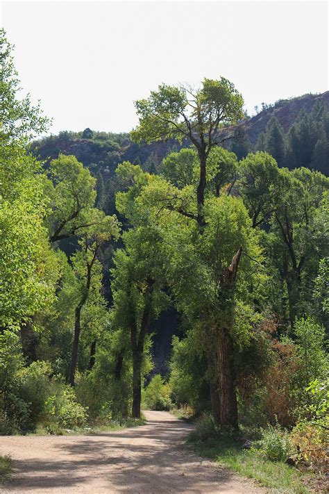 The Haunted Walk Series: Pt 1- The Campground, South Fork Campground ...