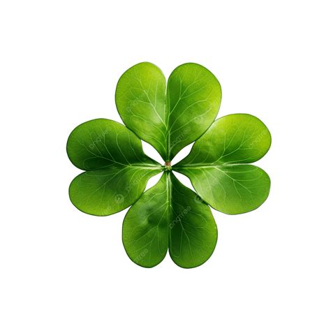 Irish Four Leaf Clover, Decoration, Clover, Plant PNG Transparent Image ...