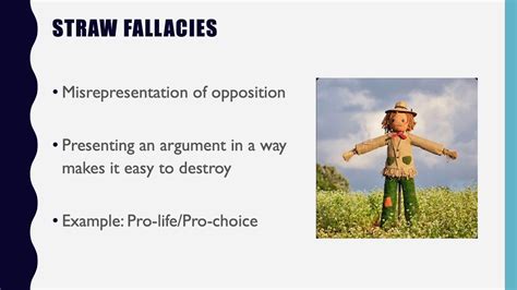 Image result for Fallacist