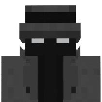 Image result for Skin in MC Java