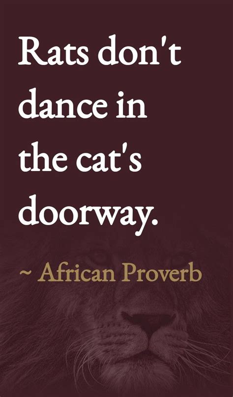Image result for African Proverbs