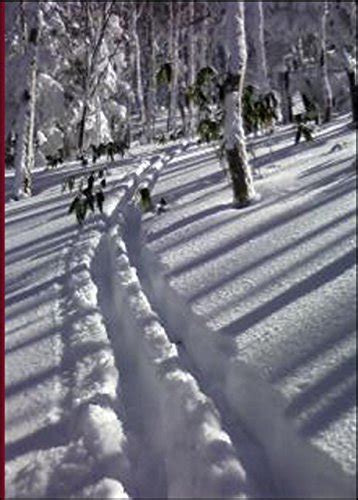 Sets and Mappings Algebra Number Theory Theta Functions Arithmetic ...