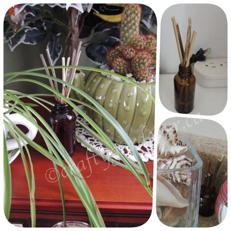 Image result for Homemade Diffuser Solution