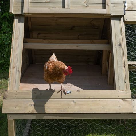 Large Raised Chicken Coop