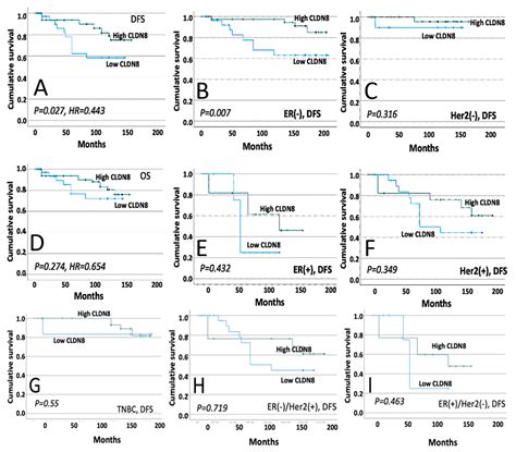 Knockdown of Claudin-8 (CLDN8) Indicates a Link Between Breast Cancer ...