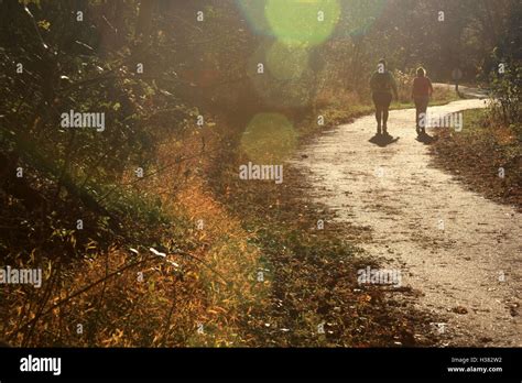 Jogging Exercise 的图像结果