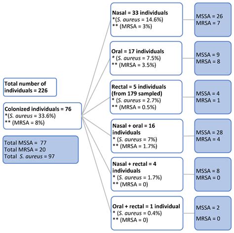 Molecular Epidemiology of Staphylococcus aureus and MRSA in Bedridden ...