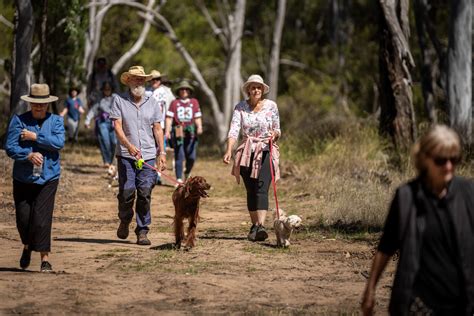 Low Res Clean (15 of 175) - Back To The Bush Festival