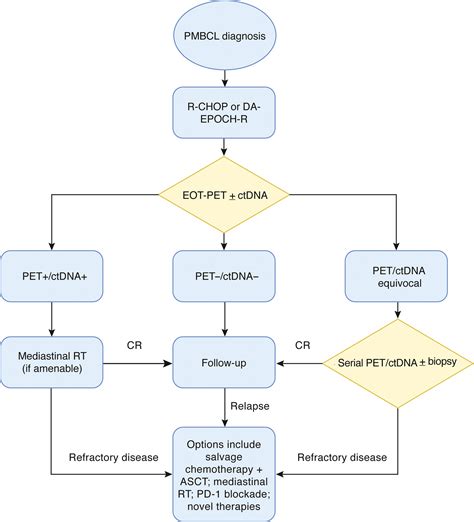 Biology and therapy of primary mediastinal B‐cell lymphoma: current status and future directions ...