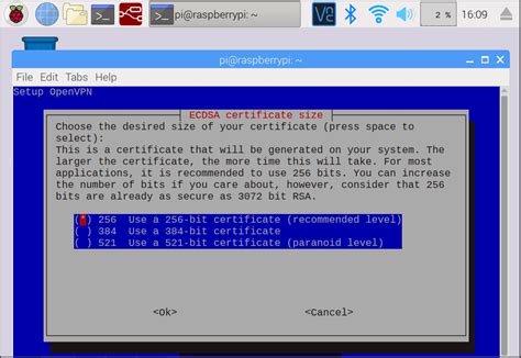 OpenVPN Server Raspberry Pi 的图像结果