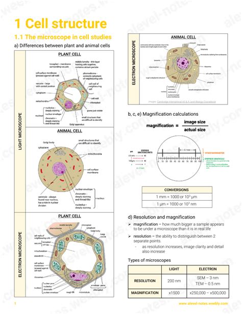 Image result for Cell Structure Microscope