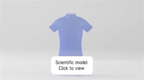 3D Model: Human Body - Male Reproductive System