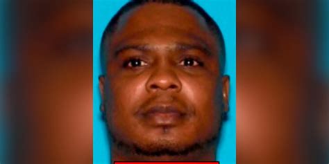 Man charged in killings of 3 homeless people and a suburban LA resident ...