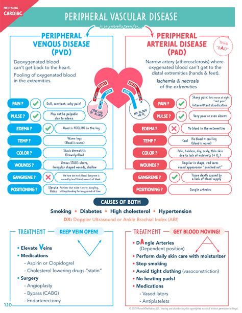 Pvd pad - notes - PERIPHERAL VASCULAR DISEASE PERIPHERAL ARTERIAL ...
