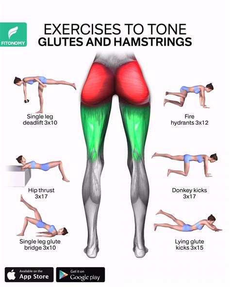 EXERCISES TO TONE YOUR GLUTES AND HAMSTRINGS | Glute and hamstring ...