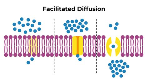 Simple Diffusion Examples 的图像结果
