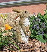 Image result for Standing Bunny Side View