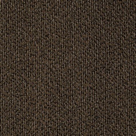 STAINMASTER PetProtect Bianca Sparky Berber/Loop Interior Carpet at ...