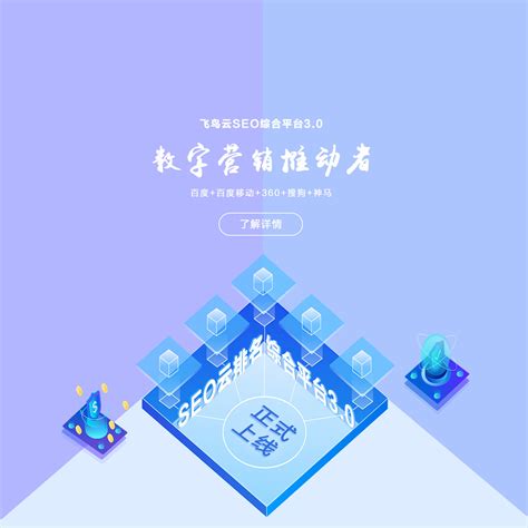 深圳南山seo公司-专业提供网站建设优化服务商「飞优SEO」