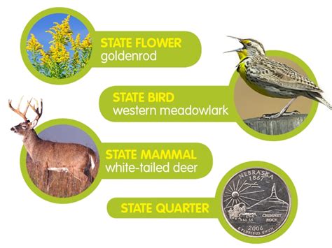 Interesting Facts About Nebraska at Hunter Berry blog