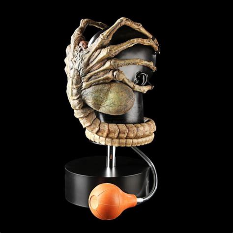 Image result for Alien vs Predator Facehugger