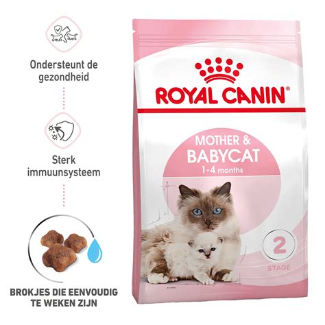 Royal Canin Mother & Babycat | Kittens | Bestellen | Medpets.be