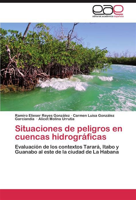 Buy Situaciones de Peligros En Cuencas Hidrogr ficas Online at ...