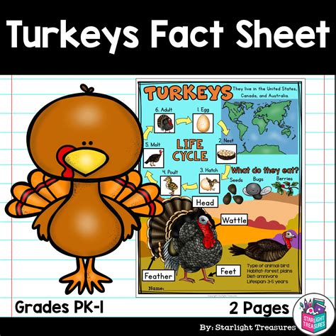 Facts about turkey – Artofit