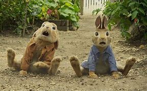 Image result for Peter Rabbit Movie DVD