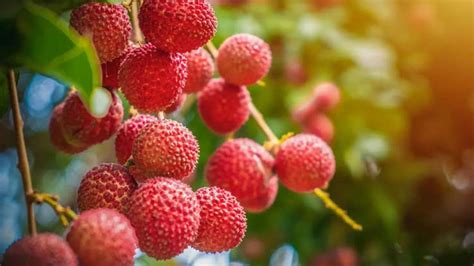 8 popular cities of India and their interesting nicknames