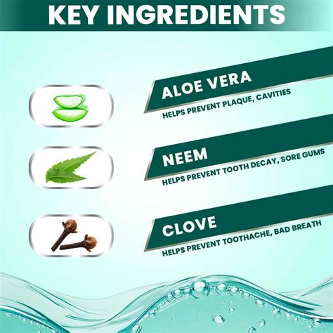 Buy NATURE SURE ALOE VERA MOUTHWASH WITH NEEM AND CLOVE FOR ORAL HEALTH ...