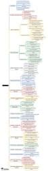 Control Unit Mind Map - Computer Science Engineering (CSE) Computer ...
