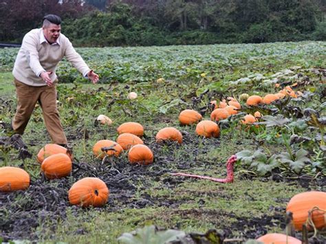 Image result for Alien Birth Scene Horror