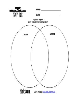 Fillable Online www-tc pbs Snake Lizard Comparison Chart - PBS - www-tc ...
