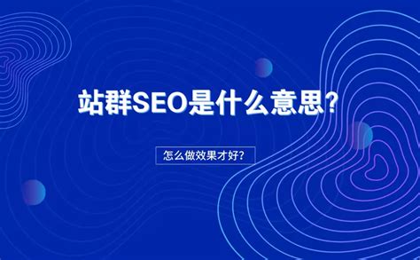 seo特点是什么,sEO是什么意思 （seo的特点主要有） - 世外云文章资讯