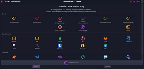 Garuda Linux Install Steps 的图像结果