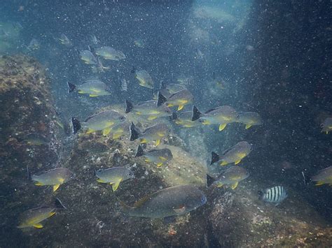 West Coast Adventures Kapu (Udupi) - All You Need to Know BEFORE You Go