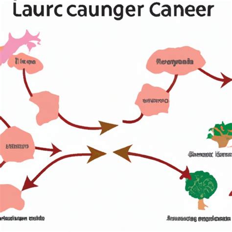 How Does Cancer Develop 的图像结果