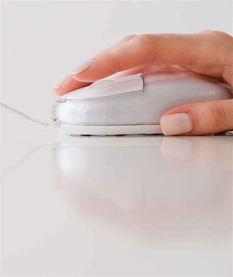 Fix a Mouse Problem 的图像结果