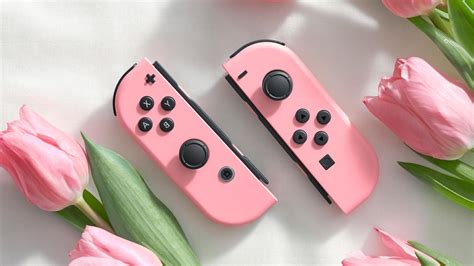 Image result for Princess Peach Nintendo Switch Controller